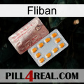 Fliban new13